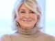 5 suéteres fofos com gola redonda inspirados em Martha Stewart