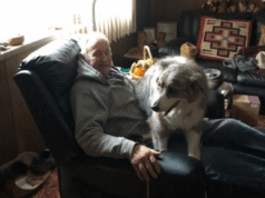 De coração partido após desaparecimento de cachorro do dono amarrado a árvore