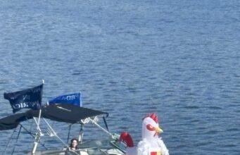 FOTOS: Grande participação quando os Portlanders se juntam ao ‘No Kings’