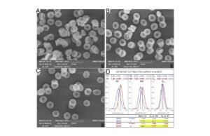 Os glóbulos vermelhos se remodelam ao longo da semana