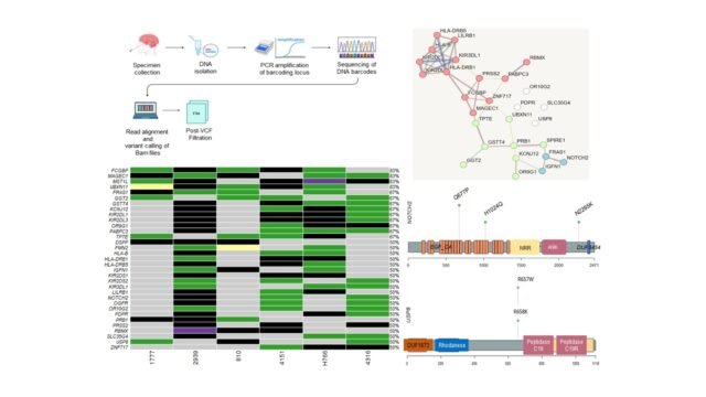 Whole-Exome-Sequencing-of-Intracranial-Epidermoid-Cysts-Reveals-Immune-Associated-Mechanistic-and-Po.jpeg