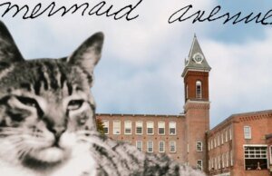 Wilco e Billy Bragg tocam Mermaid Avenue ao vivo pela primeira vez