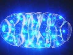 Este estranho movimento “perolado” dentro das células pode mudar a nossa compreensão das doenças