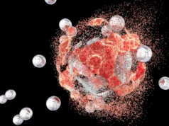 Cientistas descobrem molécula que bloqueia o desenvolvimento de câncer de mama agressivo