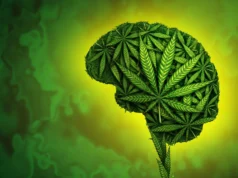 Numerosos estudos não encontram evidências de que a cannabis ajude a ansiedade, a depressão ou o transtorno de estresse pós-traumático