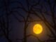 Halloween Stargazing 2025: Lua e Saturno iluminam o céu noturno para doces ou travessuras