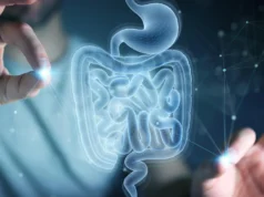 Cientistas do MIT descobrem aminoácidos que ajudam o intestino a se reparar