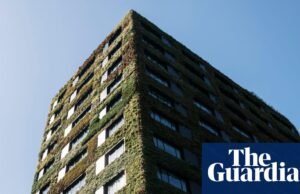 Crescimento da procura global por edifícios de escritórios “verdes” abranda sob impacto das políticas de Trump | propriedade comercial