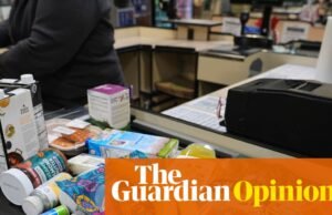 Musk poderia receber US$ 1 trilhão. A Nvidia vale US$ 5 trilhões. Mesmo assim, os pobres da América lutam para comer | Steven Estufa