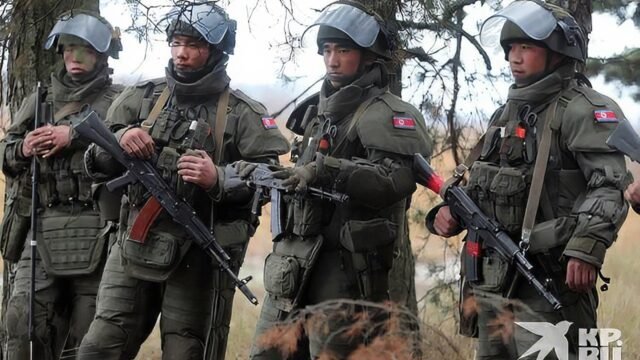 1763138758_north-koreans-deminers-3-east2west-news-optimized-1.jpg