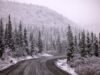 Alertas climáticos de inverno enquanto 7 estados enfrentam temperaturas abaixo de zero
