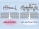 Nanopartículas de ácidos nucleicos (NANPs): um novo amanhecer para imunoterapia e vacinas