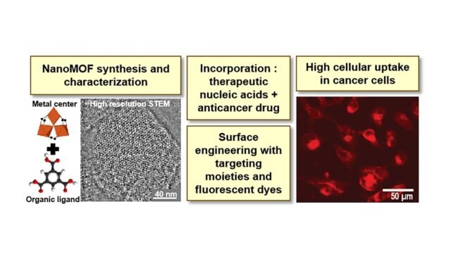 Nanoscale-metal-organic-frameworks-for-the-delivery-of-nucleic-acids-to-cancer-cells.webp.jpeg