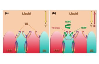 Explorando novos horizontes em durabilidade usando ligas eutéticas de alta entropia heteroestruturadas hierárquicas