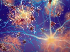 Cientistas descobrem interruptor cerebral que limpa placas de Alzheimer