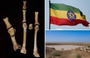 O misterioso dono do pé de 3,4 milhões de anos na África foi identificado: estudo