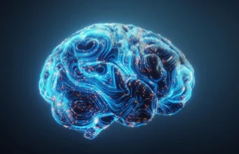 Cientistas revelam mudança oculta de hormônio de aprendizagem