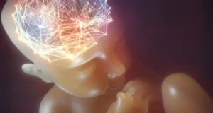 Cientistas descobrem que bactérias intestinais podem ajudar a prevenir autismo e TDAH