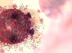 Um raro composto vegetal que combate o câncer finalmente decifrado