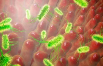 Cientistas chocados ao descobrir que a E. coli se espalha tão rápido quanto a gripe suína