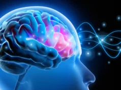 Cientistas revertem a ansiedade reparando pequenos circuitos cerebrais