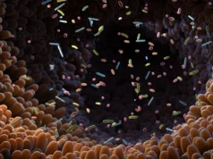 Cientistas descobrem uma bactéria intestinal oculta ligada à saúde