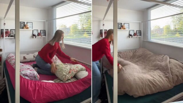 potato-bed-split.jpg
