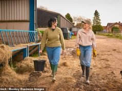 Todas as empresas familiares merecem o nosso respeito, afirma RUTH SUNDERLAND