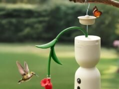 Hum Bloom da Birdfy capturou imagens em câmera lenta de um beija-flor a 120fps