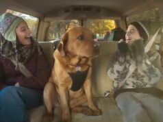 O comercial ‘Memory Lane’ da Chevrolet captura as emoções: ‘Agora eu chamo o anúncio do super carro’