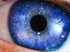 Os cientistas estão perguntando seriamente se as abelhas e o ChatGPT estão conscientes