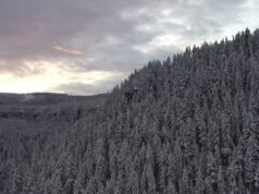 Tempo de segunda-feira: chuva ao redor do metrô de Portland, neve nas montanhas Cascade