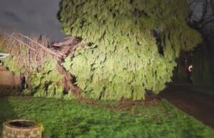 ‘Preocupação adicional’: especialistas em transporte de Portland alertam sobre cortes de energia durante inundações e tempestades