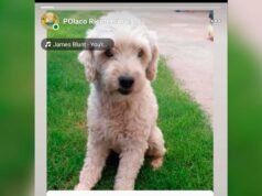 Tucci desapareceu no bairro de Villa del Carmen e sua família o procura desesperadamente