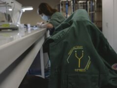 Por que a Ÿnsect, a startup francesa que arrecadou mais de US$ 600 milhões para cultivar insetos, entrou em colapso diante da realidade