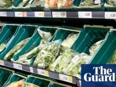 Varejistas do Reino Unido afirmam que aumentos nos seguros nacionais e nas contas de energia estão por trás do aumento dos preços dos alimentos | setor de varejo