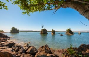 Restos mortais encontrados em Washington Beach identificados como ex-prefeito de Oregon