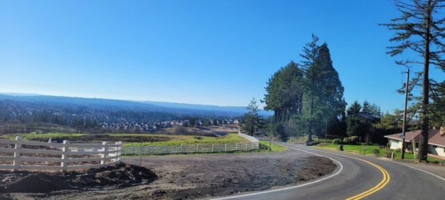 Northwest-Portland-during-unusually-warm-weather-on-January-17-2026-KOIN.jpg