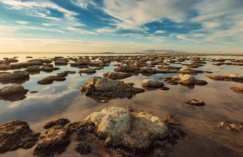 Uma criatura nunca antes vista descoberta no Grande Lago Salgado