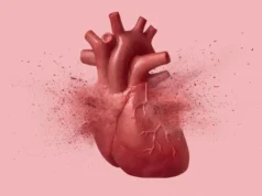 Explicação final: Por que a doença renal é tão mortal para o coração