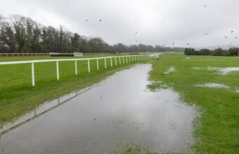 Dublin Racing Festival CANCELADO com outra inspeção pedindo ação de domingo, já que o card de sábado foi movido