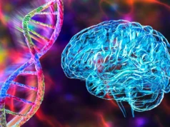 Mutação genética pode prender cérebros de pacientes com esquizofrenia em falsas realidades