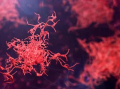 Ameba perigosa se espalha globalmente, cientistas soam alarme