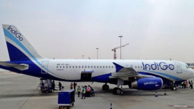 indigo-8.jpg