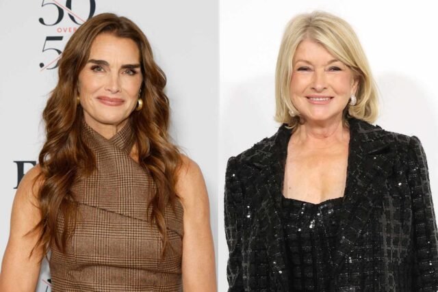 ins-brooke-shields-wore-a-martha-stewart-coded-winter-layer-tout-84b46c263b7d485997616a24dc32029e.jp_.jpeg