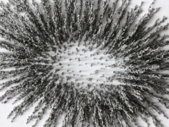 Segredo do magnetismo dentro do aço finalmente resolvido