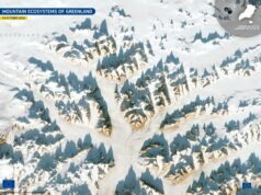 Imagens de satélite dos picos nevados da Groenlândia vistos do espaço em 14 de janeiro de 2026