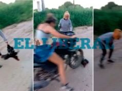 Indignação em San Pedro de Guaséon: Dois jovens condenados por abuso de animais e ataques virais