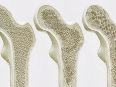 A descoberta pode permitir que os ossos se beneficiem do exercício sem se moverem