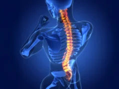 Cientistas descobrem células cerebrais ocultas que ajudam a curar lesões na medula espinhal